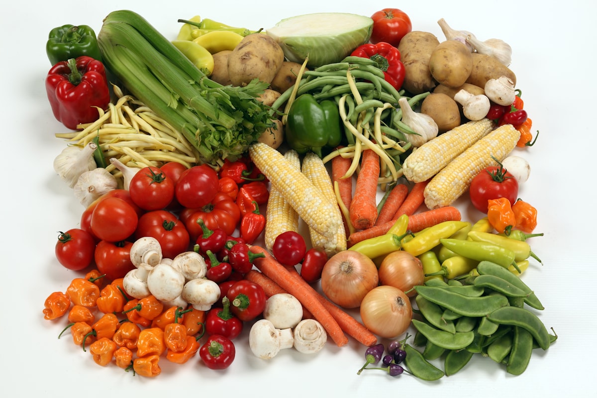 Fermentirana hrana s probioticima